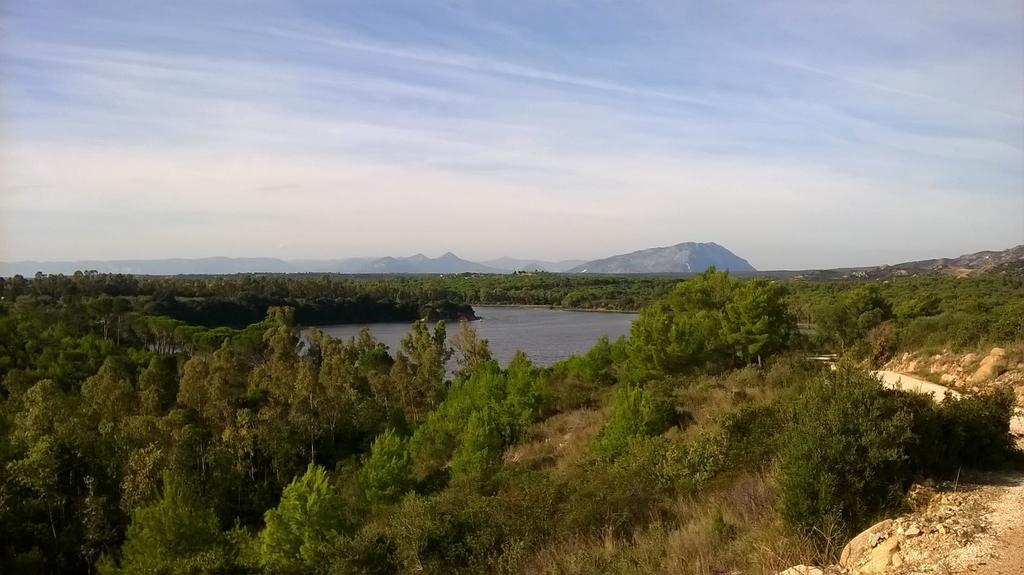 Appartamento Gli Ontani Cala Liberotto Esterno foto