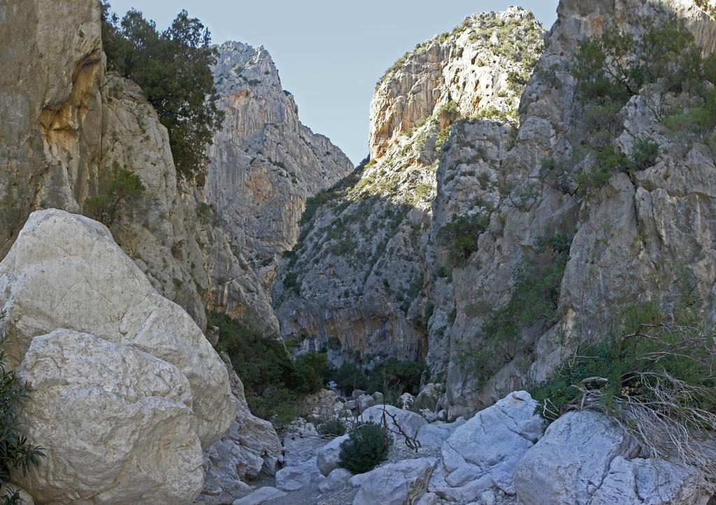 Appartamento Gli Ontani Cala Liberotto Camera foto